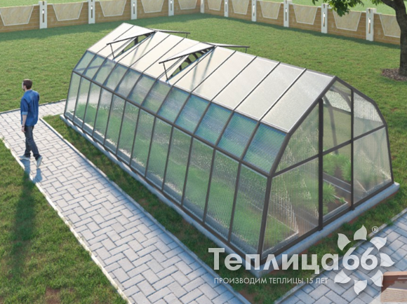 Теплица Рада Таймыр из поликарбоната, 3,5x8 метров, графитовая